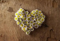 眼泪的名字是什么意思（带有眼泪的歌名叫什么）