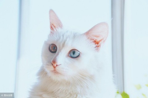 cf名字符号大全复制（100个特殊符号可复制）