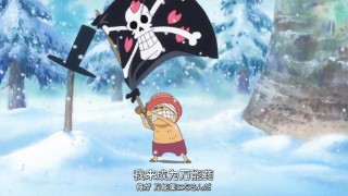 海贼王人物名字名单（海贼王配角人物介绍大全 ）