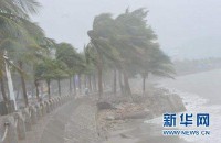 台风的名字都是怎么起的（台风达到多少级才能命名）