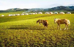 蒙古人的名字有多长（蒙古人是怎么起名字的 ）