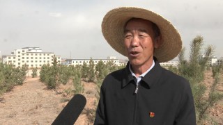 全国劳动模范的名字和事迹（劳动模范人物手抄报 ）