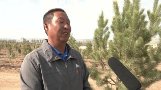 全国劳动模范的名字和事迹（劳动模范人物手抄报 ）