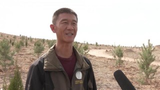 全国劳动模范的名字和事迹（劳动模范人物手抄报 ）