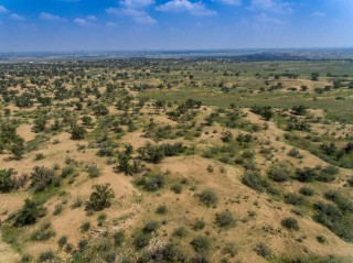 全国劳动模范的名字和事迹（劳动模范人物手抄报 ）