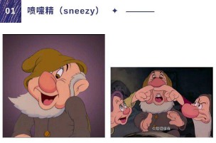 七个小矮人的名字叫什么（七个小矮人的团体名称英文 ）