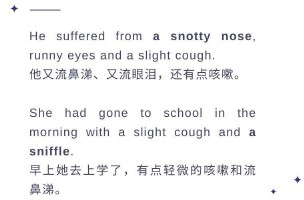 七个小矮人的名字叫什么（七个小矮人的团体名称英文 ）