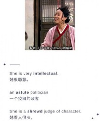 七个小矮人的名字叫什么（七个小矮人的团体名称英文 ）