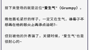 七个小矮人的名字叫什么（七个小矮人的团体名称英文 ）