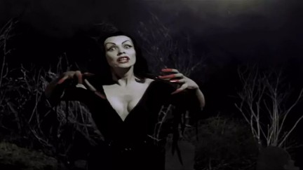 B级片名字大盘点（大尺度电影名字）