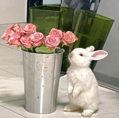 简单又含深意的网名女生（女人昵称好听又有内涵有寓意 ）