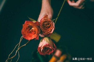 白羊座和什么座最配对（白羊座和什么座最不合适 ）