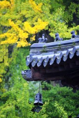 耄耋之年是多少岁是指多少岁（70岁是古稀之年吗 ）