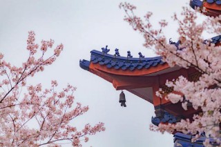 耄耋之年是多少岁是指多少岁（70岁是古稀之年吗 ）