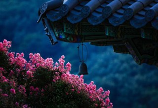 耄耋之年是多少岁是指多少岁（70岁是古稀之年吗 ）