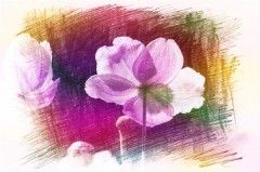 看淡一切无所谓的句子（感悟人生的句子 经典 ）