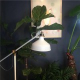 微信名字 昵称 好听招财（带来好运的微信名字 ）