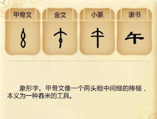 颛顼怎么读什么意思（鸸鹋怎么读拼音 ）