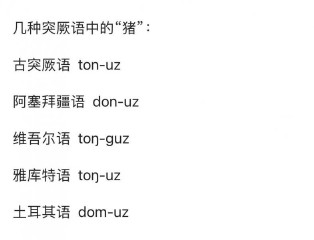 颛顼怎么读什么意思（鸸鹋怎么读拼音 ）