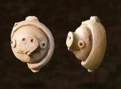 颛顼怎么读什么意思（鸸鹋怎么读拼音 ）