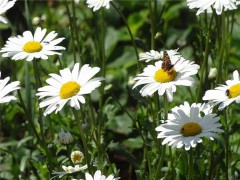 伤感的句子说说心情发朋友圈（ 心凉了发朋友圈的句子 ）