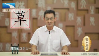 草字头的字和什么有关（草字头的字有些什么 ）