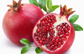 排名第一最好的镇宅树盆栽（家门口种什么花最旺宅 ）