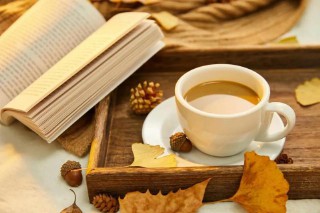 厚德载物的意思解释（厚德载物上善若水什么意思 ）