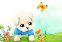 2018年属什么生肖属相属什么（ 2018年鸡是什么命五行属什么 ）