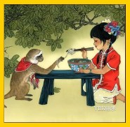 猴年是哪几年?（属猴今年多大岁数 ）