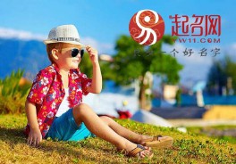 五行属火的字有哪些（虎宝宝五行缺火最旺的字 ）