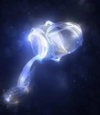 9月是什么星座女生（怎么判断自己什么星座 ）