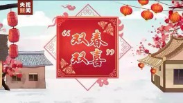 2024年属什么生肖属相（明年属相是什么生肖2024 ）