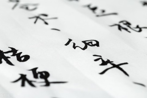 抖音名称昵称女气质（容易涨粉的抖音昵称女 ）