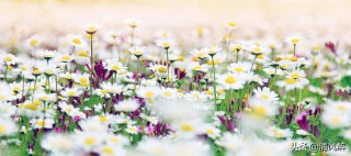 春天享受大自然的心情说说（形容春天大自然的美景句子 ）