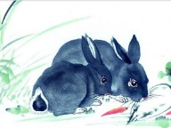 99年属什么生肖（1999年属什么生肖属相婚配 ）