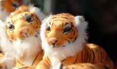 属虎的和什么相克相冲（虎年最克的四个属相）