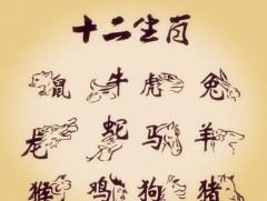 属虎的和什么相克相冲（虎年最克的四个属相）