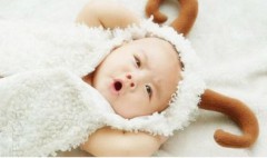 属虎的和什么相克相冲（虎年最克的四个属相）