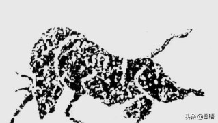 气冲斗牛的意思是什么生肖（三从四德指的是哪个生肖 ）