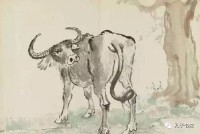 子时是几点到几点钟的（女孩最怕哪个时辰出生）