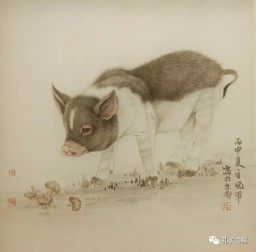 子时是几点到几点钟的（女孩最怕哪个时辰出生）