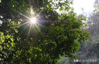 说不出的压抑和心累说说（短句心情不好 ）