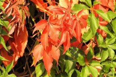 正能量句子励志短句子朋友圈（心态正能量早安朋友圈 ）