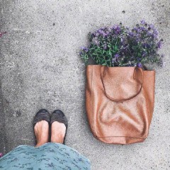 正能量人生格言（看淡,心静,积极的句子 ）