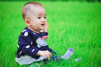 木字旁的字男孩起名字（男宝宝缺木取名大全）