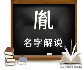 胤怎么读音正确（胤禔和胤禵读音）