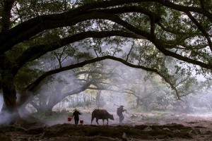 福建旅游必去十大景点推荐（福建最值得去的景点 ）