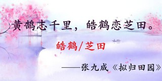 比较冷门的隐藏情侣名（好听不烂大街的情侣网名 ）