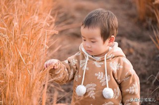 走之旁的字有什么字（辶偏旁怎么念 ）